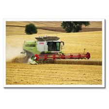 Gerahmt Poster Bilderrahmen