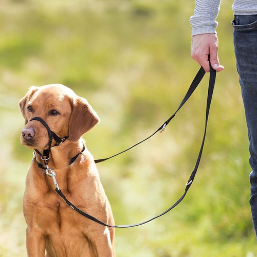 Trixie trainingsgeschirr top - trixie,