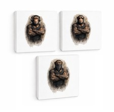 Drei coole Affen 3er Set