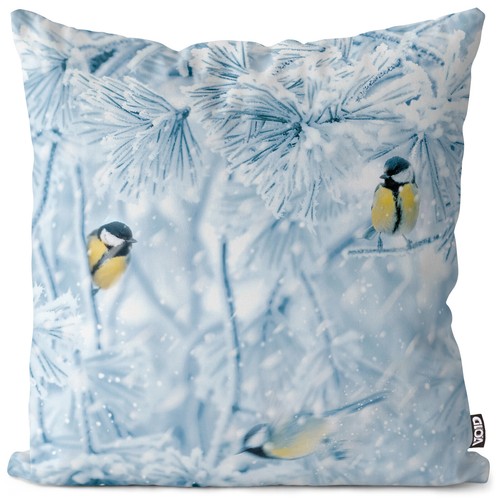 Blaumeise kohlmeise vogel - kohlmeise,