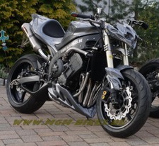 MGM BIKES BS 106 Yamaha R1 & universal  Bugspoiler Streetfighter Fighter 