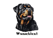 Rottweiler portrait - rottweiler,