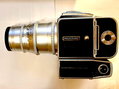 Hasselblad 500 elm - elm, +