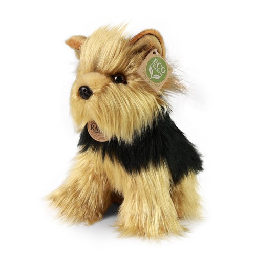 Yorkshire terrier 24 cm - yorkshire, h=
