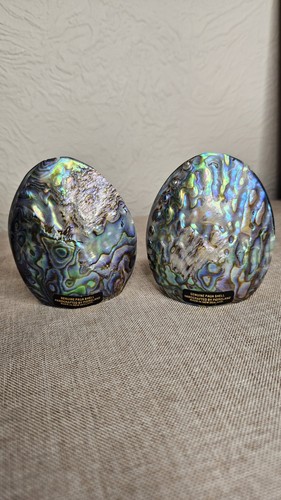 Vintage paua shell abalone - vintage,
