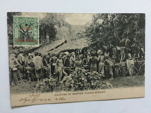 J310 borneo natives of - borneo,