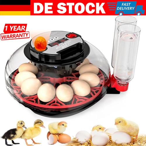Brutmaschine für hühner - brutmaschine,