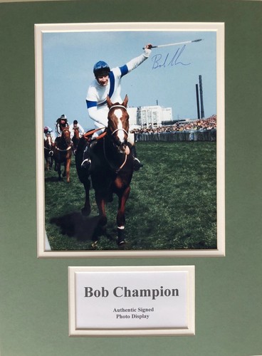 Pferderennen bob champion - bob,