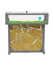 Ant farm tbig with free - ant, 3d