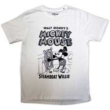 Disney Mickey Mouse Steamboat