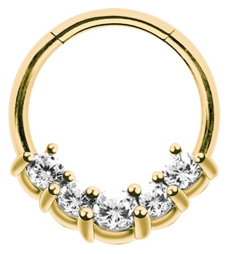 Lippen septum ohr piercing - ohr,