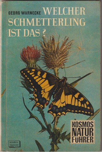Welcher schetterling ist das - ist,