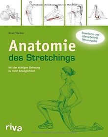 Anatomie des stretchings - anatomie, mit