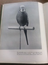 Exhibition Budgerigars by Dr MDS Armour Cage Birds Colour Markings Breeding 