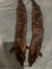 Pelzkragen, Stola, Schal,  2x