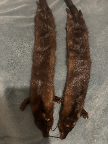 Pelzkragen stola schal - stola,, 2x