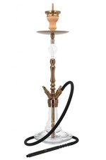 Invi Tesseract - Shiny