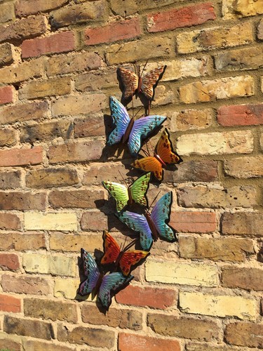 Farbige schmetterling - 7,
