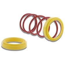 Feder Teller Malossi Torsion