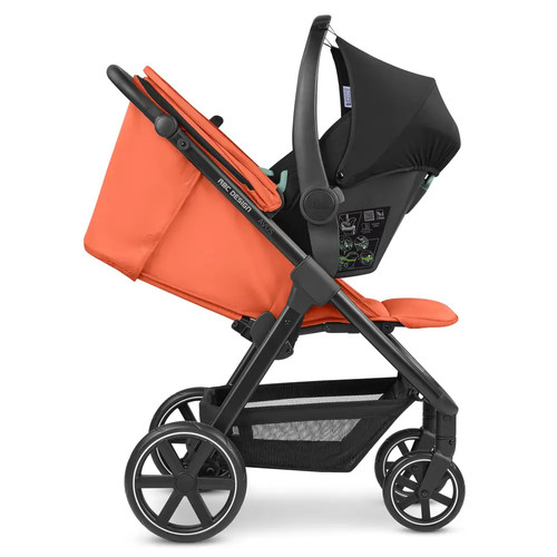 Buggy avus carrot - avus,