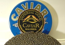 125g (1Kg/1432 €) Imperial