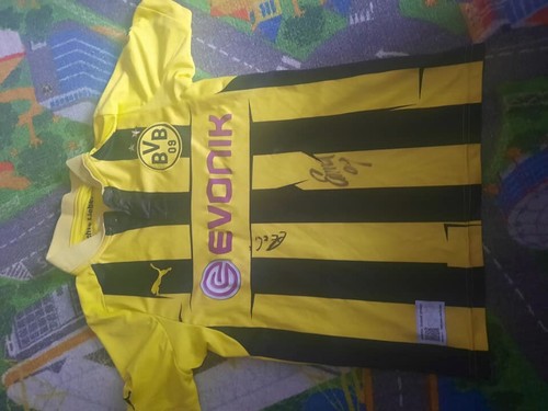 Bvb borussia dortmund - borussia,