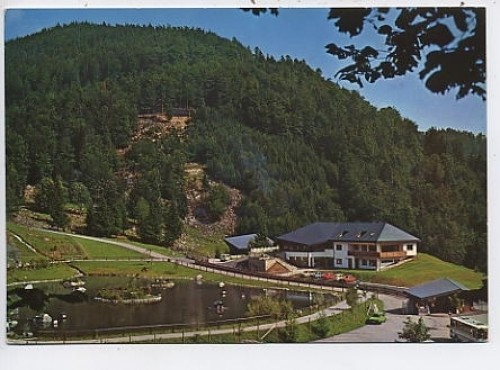 Todtnau schwarzwald wildpark - todtnau,