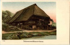 Schwarzwald bauernhaus - schwarzwald,