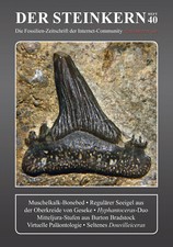DER STEINKERN 40: Haizähne-