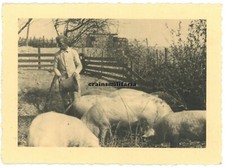 Orig. Foto MAA.609 Stellung