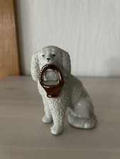 englischer Kapitänshund * Puffhund * Kaminhund * 