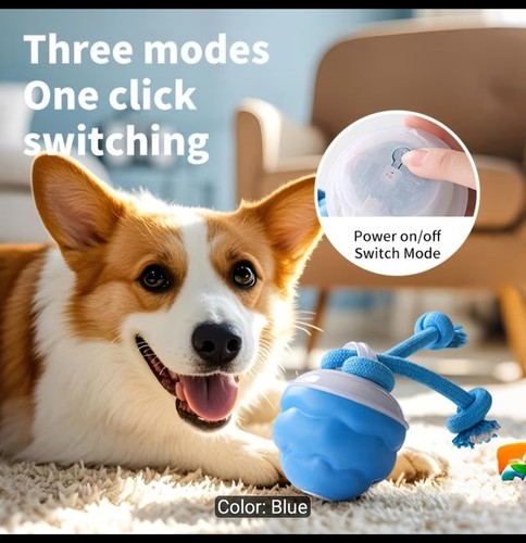 Durable and interactive pet