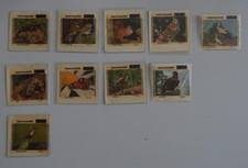 Tierwelt unserer Heimat 1979