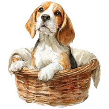 2x Sticker Beagle Car Sticker