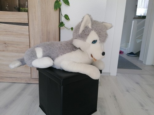 Großer plüschhund hasky - plüschhund,