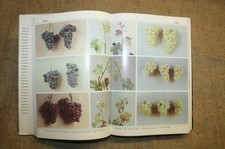 DDR Lexikon Weinbau Winzer Weinherstellung Weinsorten Geschichte des Weins