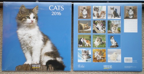 Cats 2016 wandkalender mit - cats,