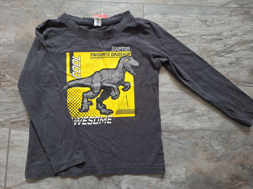 Dünner dino pullover - dünner, dino-pullover