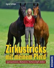 Zirkustricks mit meinem pferd - zirkustricks,
