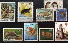 Kl. Steckkarte Fischotter