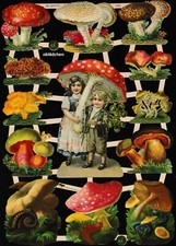 # GLANZBILDER # EF 7355 Kinder