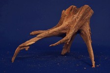 Aquarium Wurzel / Corbo Wood