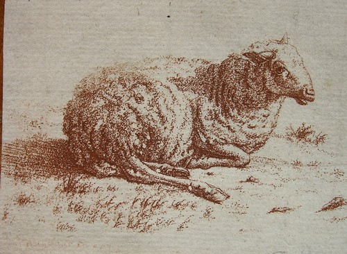 Liegendes schaf bagelaar - "liegendes, schaf"