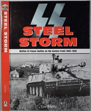 SS STEEL STORM Waffen-SS