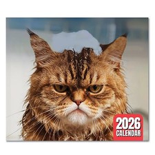 2026 Katzenkalender Angry Cats