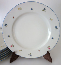 1 Speiseteller Seltmann Weiden