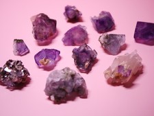 LOT #1: 15x kleine