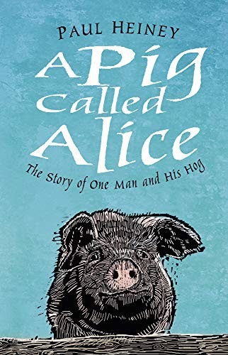 Pig called alice the - alice:, story