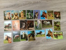 22 x Postkarten Tiermotive -