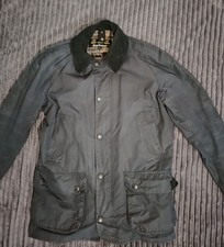 Barbour Ashby